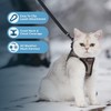Voyager Step-in Air Cat Leash Harness Set - All Weather