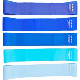 KKTECH Resistance Bands, Set of 5 Skin-Safe Fitness Exercise Loop Bands with 5 Varying Resistance Levels, Carrying Case, Perfect for Home, Gym, Yoga, Training (DARK - LIGHT BLUE)