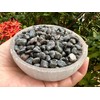 GAF TREASURES 2 oz Lot Natural Semi Tumbled Gemstone Chips,