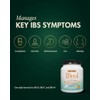 Medtrition Suplemento para la salud intestinal 3 en 1 IBtrol
