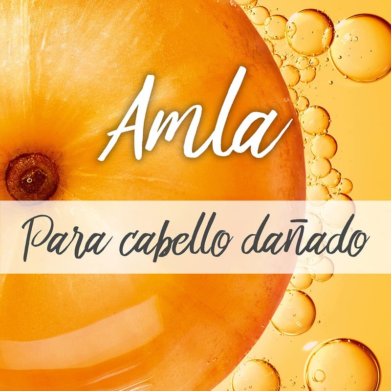 Garnier Fructis Shampoo 2 e n1 Borrador de Dano Largo