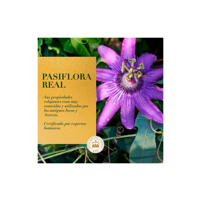 HERBAL ESSENCES Bio:Renew, Passion Flower & Rice Milk, Shampoo 400
