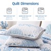weigelia Coastal Quilts Bedding Set Queen Size - Blue Summer