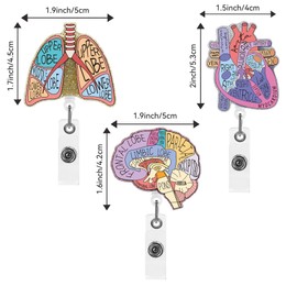 Obookey Nurse Badge Reel Retractable - 3 Pcs Organ Heart Brain Lung ID Badge Holder with Acrylic Alligator Clip for Hospital Worker Nurses Nursing Medical Student Name Card Reels Accessories Gifts