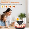 Fully Automatic Egg Incubator 12 Eggs with Water Supply, Automatic