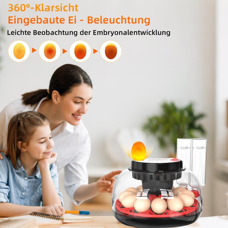 Fully Automatic Egg Incubator 12 Eggs with Water Supply, Automatic