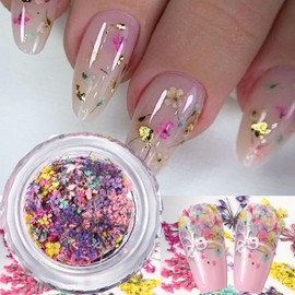 Spring Dried Flowers Nail Art Stickers Decals, Colorful 3D Dry Flower for Nails Kit - DIY Mini Mix Flower Petals Nail Stickers Natural Floral Dried Floral Plant Nails Design Spring Stickers for Women