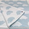 Imabari Towel, Brand Certified, Hedgehog Pattern, Bath Towels, Set of