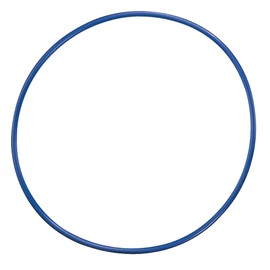 Champion Sports Diameter Plastic Hoop, 24"