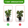 Prashent Plant Watering Globes, 8 Pack Self-Watering Terracotta Spikes -