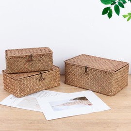 FEILANDUO Wicker Shelf Baskets with Lids Seagrass Storage Basket Container Rectangular Hand Woven Shelves Desk Home Organizer (Coffee, Medium)