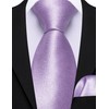 Barry.Wang Solid Color Pre-tied Ties for Men Zipper Necktie Pocket
