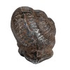 Creative Co-Op Cast Metal Snail Accent Décor, Rust