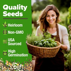 HOME GROWN 6 Herb Seeds for Planting 2,650+ Non-GMO Heirloom Seeds | Extra Large Variety Pack Herb Kit – Indoor Outdoor & Hydroponic | Culinary Seed Set | Grow Your Own Herbs | Gift for Beginners