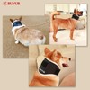 BUVUB Dog Neck Brace Supports Pet's Necks with Intervertebral Disk
