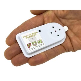 Bleepin' Battery: Hidden Annoying Smoke Alarm Beep Prank Joke Gag Sound