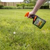 Spectracide HG-96590 Lawn Weed Killer