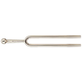 Wittner Tuning Fork A = 442Hz with Storage Case