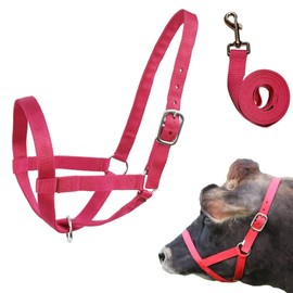 Cow Halter Cattle Halters Calf Halter with Leading Rope，Adjustable Nylon Livestock Cattle Halter，for Miniature Horse Donkey Goat Foal (Pink, Medium)