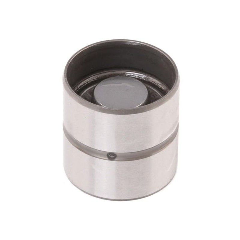 INA 420 0046 10 Valve Tappet