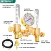 BOGERDACK Dual Output Argon Regulator, Flow Meter 0-60CFH, With 9.8