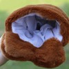 RIY Hand Puppet - Zoo Friends Animals Educational Puppets Bear
