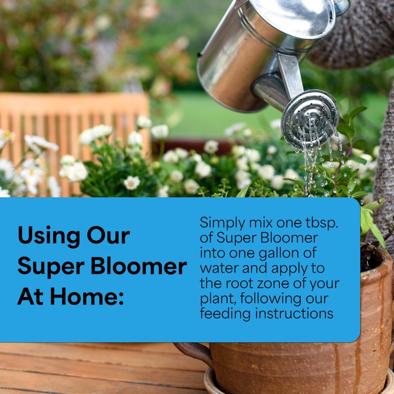 Grow More Super Bloomer 15-30-15 Fertilizer - 3lbs of Flower