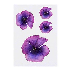 4 x 'Violet Poppy' Temporary Tattoos - Water Resistant, Skin-Safe, Non-Toxic Transfers, Mixed Sizes (TO00015927)