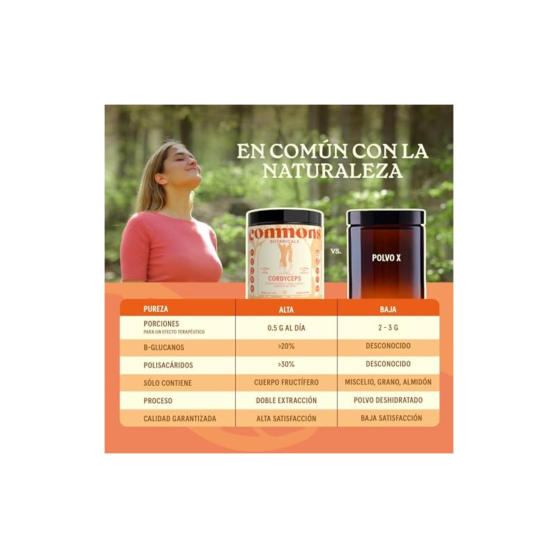 Commons Hongos Adaptógenos - Hongo Cordyceps - Extracto Puro en