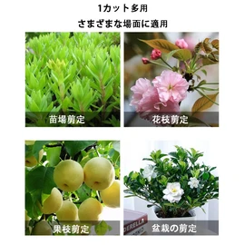生け花はさみ 園芸鋏 剪定鋏 快適はさみハンドル 鋭利耐摩耗 クッション設計 時間と労力を省く生花剪定 園芸生け花 庭園剪定などの適用 (ピンク)
