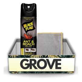 Black Flag Insect Killer Spray 17.5 oz Bundle with Microfiber Cloth - Ant & Roach Killer Spray for Indoor Use - Long-Lasting Pest Control for Ants, Roaches, Spiders - (2 Items)