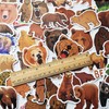 50Pcs Wild Brown Bear Stickers Cute Brown Bear Decal for