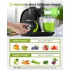 Jocuu Slow Masticating Juicer with 2-Speed Modes - Cold Press