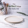 AmorArc Ceramic Plates Set of 6, 8.5 Inch Handmade Reactive