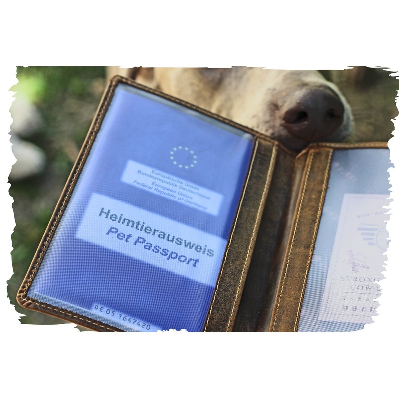 Greenburry Protective Cover for Vaccination Certificate Brown 16.5 x 1.5