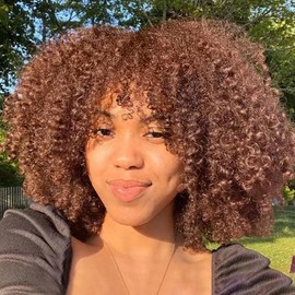 PORSMEER Afro Wig Women's Natural Full Fluffy Hair Kinky Curly Bob Wig with Fringe for Women, Curly Synthetic Wig for Party Cosplay Daily, Brown Wig 14 Inches