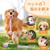 CANPLUS 7 Pack Dog Toy, Popular, Chewing, Rope, Rope, Ball,