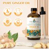 EVOKE OCCU 100% Pure Ginger Oil, Natural Ginger Essential Oil