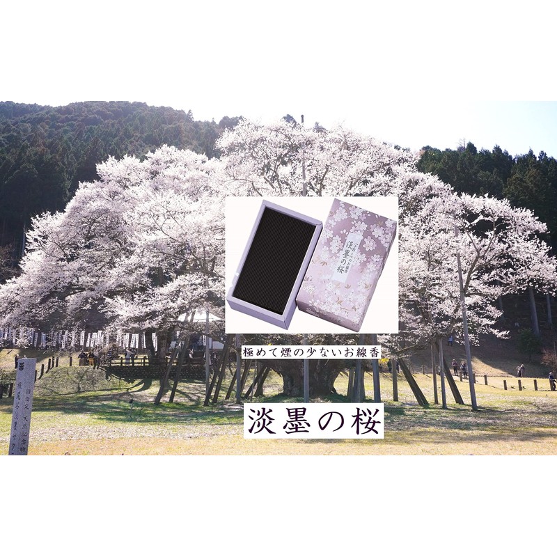 (Chiyo Uno Incense) Light Ink Cherry Blossom Incense, Very Small