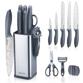 RAXCO 10-Piece Kitchen Knife Set | Stainless Steel Holder | Compact Design - Gray