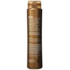 Brazilian Blowout Volume Conditioner, Unisex, 12 oz