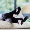 Wilson Payne Out On The Patio Bundle - Australian Made
