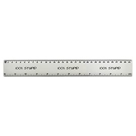 '100% Stupid' 30cm (12 Inch) White Plastic Ruler (RL00068262)