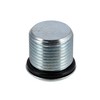 Set of 2 Threaded Plugs with O-Ring SWH Fork