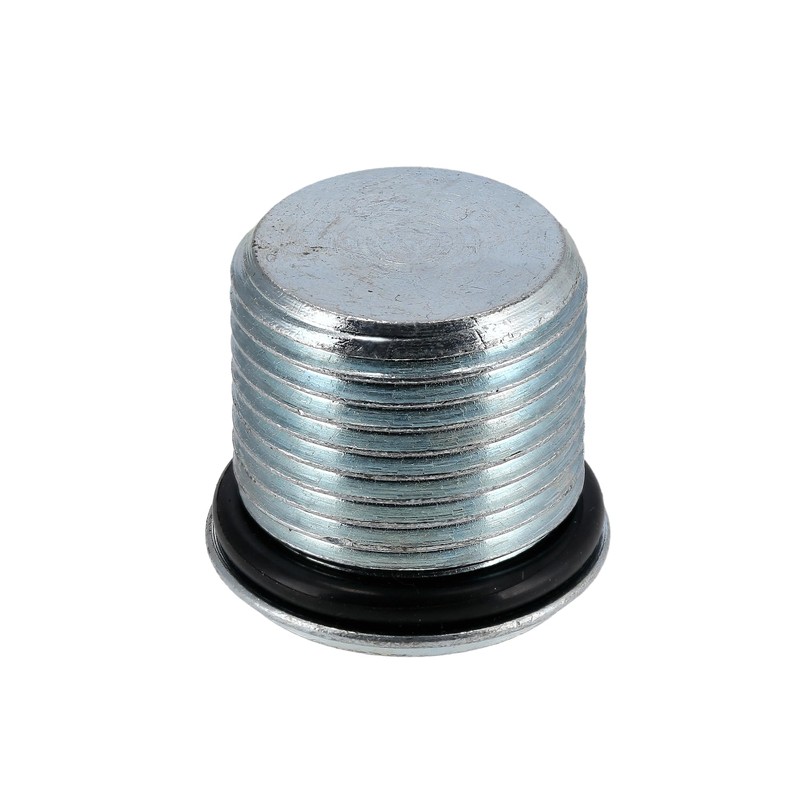 Set of 2 Threaded Plugs with O-Ring SWH Fork