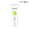Charmzone [Charmzone] Ginkgo Natural Hypoallergenic Cleansing Foam 200ml 1 unit