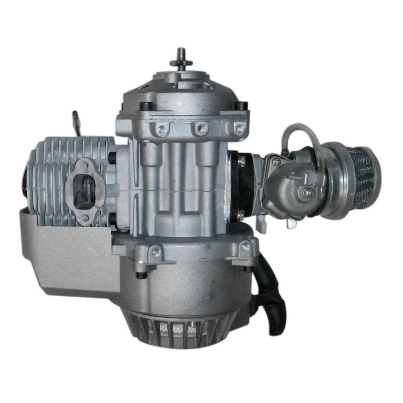 Does Not apply 49cc 2 stroke Pull Engine Motor +