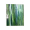 Wissmach Stained Glass Sheet: Dark Green Dense Opal (8"x12"-1 Sheet)