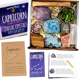 DANCING BEAR Capricorn Zodiac Healing Crystals Gift Set (14 Pc): 9 Stones, 18K Gold-plated Constellation Necklace, Meteorite, Succulent Candle, Palo Santo Smudge stick, and Info Guide, Made in the USA