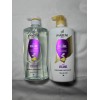 Pantene Shampoo & Conditioner Set – Volume & Body for